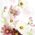 COSMEA 40x40, Mank