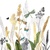ORNAMENTAL FLOWERS white, Ambiente