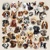 COLLECTION OF DOGS, Ambiente