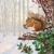  SQUIRREL IN TREE, Ambiente