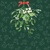 HANGING MISTLETOE green, Ambiente