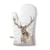 18x30 ANTLERS, Ambiente