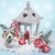 XMAS LANTERN ON SNOW, Daisy