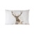  50x30 ANTLERS, Ambiente