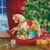 13x21 WOODEN ROCKING HORSE, Ambiente