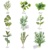 HERB SELECTION, Ambiente