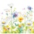 BEAUTIFFUL FLOWER MEADOW, Daisy