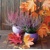 ERICA IN POT 33x33, Ambiente