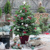 DECORATED FIR 33x33, Ambiente