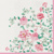 PINK SEASON 40x40/50, PAW