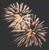 GOLDEN FIREWORK 33x33, Ambiente