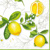 CITRUS LIMONUM 33x33,   Ambiente
