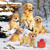 GOLDEN RETRIEVER PUPPIES 33x33, Ambiente