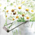 A BUNCH OF DAISIES , Home Fashion